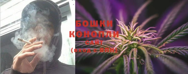 PSILOCYBIN Магас