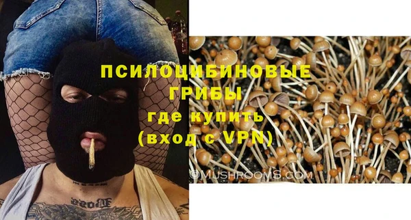 молекула духа Мегион