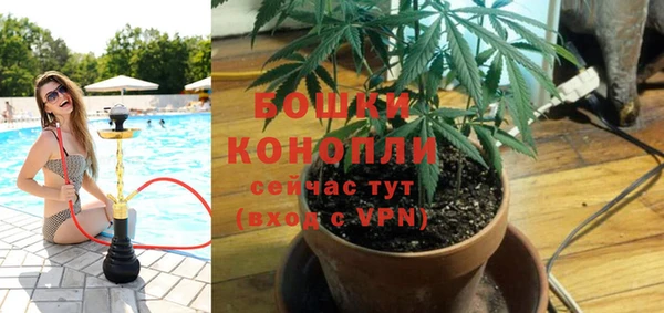 молекула духа Долгопрудный