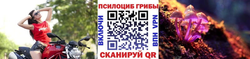 omg ссылка  дарнет шоп  Новая Усмань  Галлюциногенные грибы GOLDEN TEACHER 